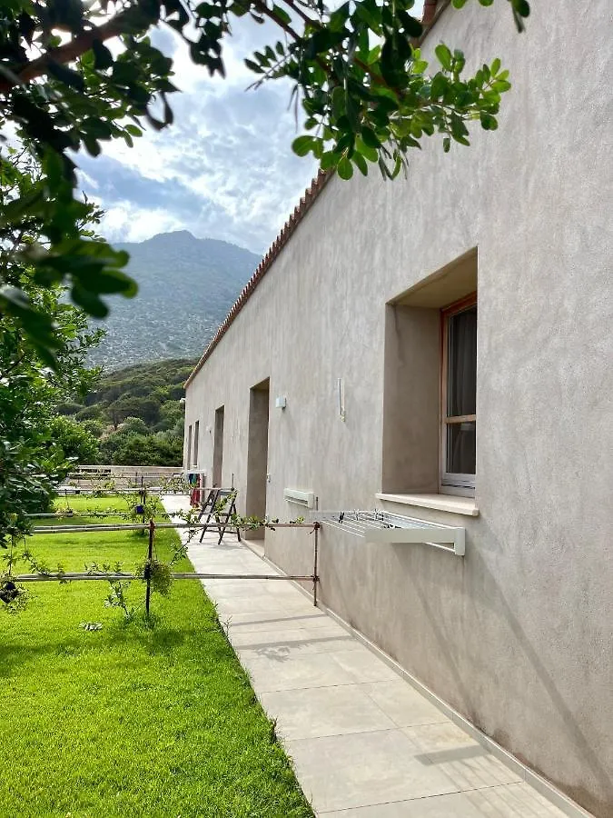 Alelca Domo Bed & Breakfast Buggerru