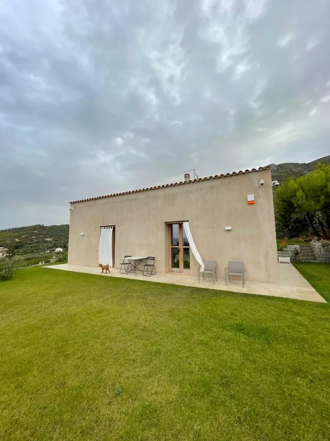 Alelca Domo Bed & Breakfast Buggerru 0*,