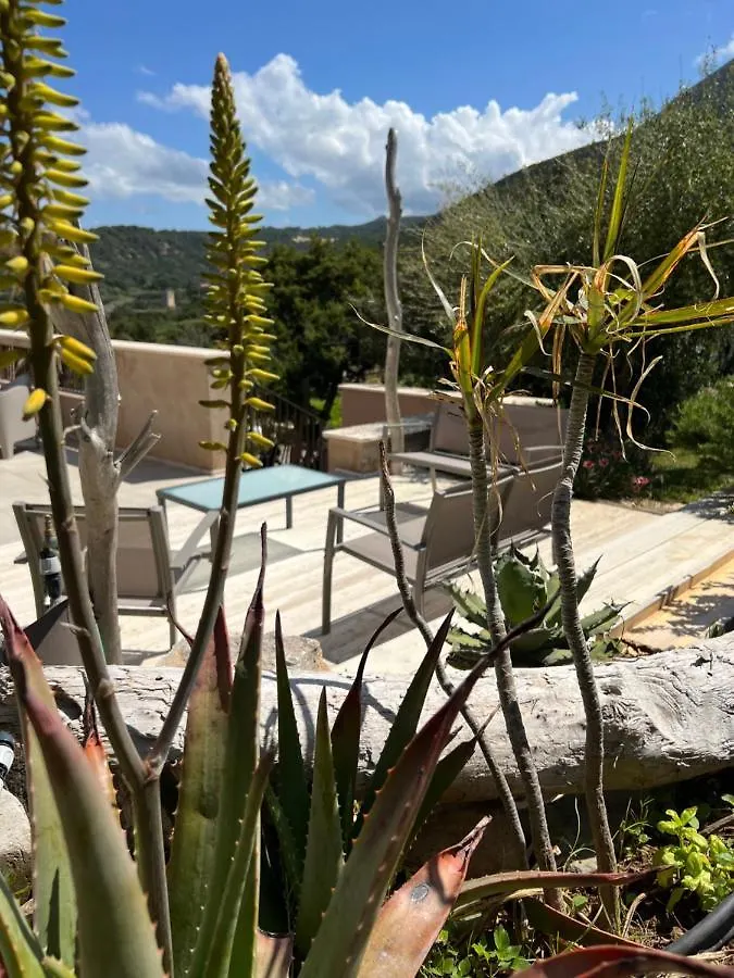 Alelca Domo Bed & Breakfast Buggerru